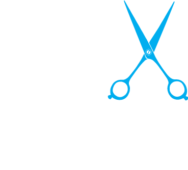 A blue and white logo for art of hair academy